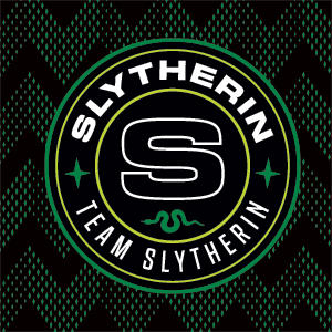 Wizarding Worlds Harry Potter Team Slytherin PS5 Controller Skin